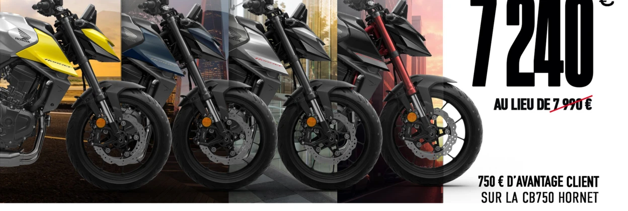 Gamme Hornet 750