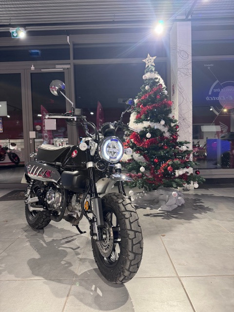 HONDA MONKEY 125 - SAINT-JEAN-DU-CARDONNAY