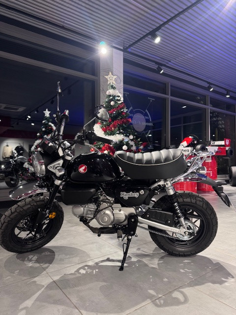 HONDA MONKEY 125 - SAINT-JEAN-DU-CARDONNAY